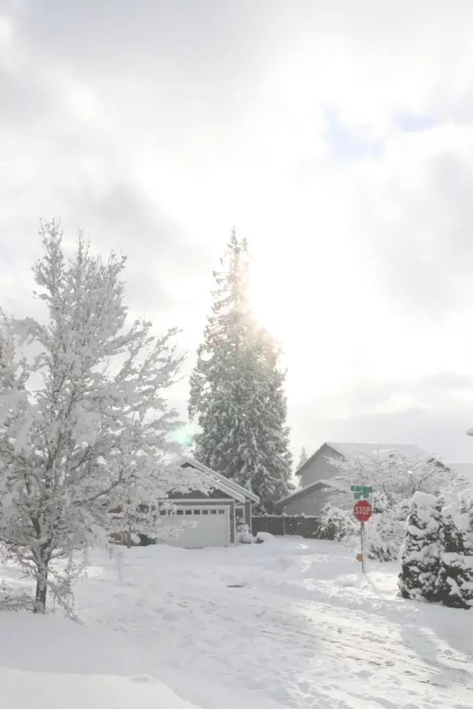 snowy farmhouse scene