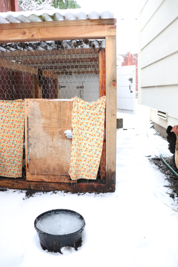 Winterize a chicken coop. 6 easy steps to keeping your chickens warm.