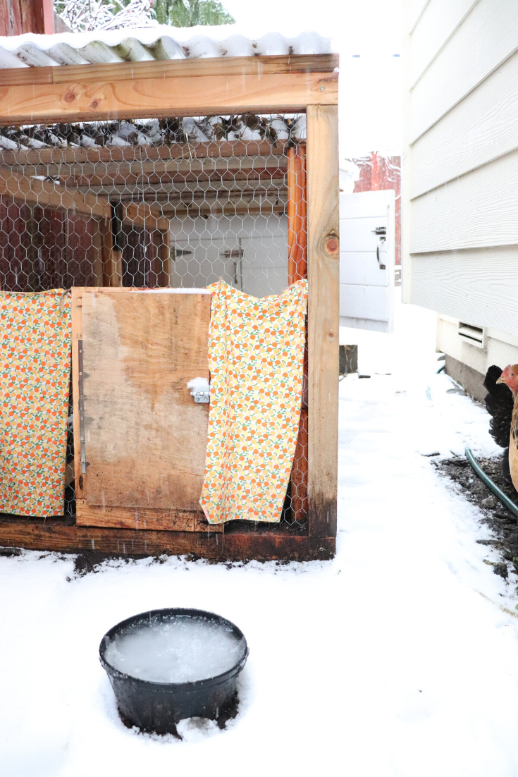 How to Winterize a Chicken Coop The Duvall Homestead