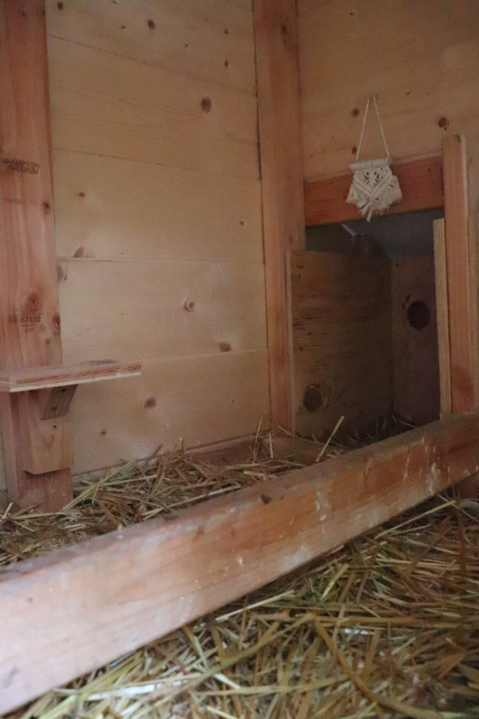 Learn how to winterize a chicken coop naturally. We’re expecting a snow storm in the Pacific Northwest so I’m doing a full coop clean out and taking some measures to make sure our backyard friends are warm and happy in the snow. Check out www.theduvallhomestead.com/winterize-chicken-coop for all the details! 

#chickenkeeping #winterizechickencoop #chickencoop #backyardchickens #chickensinthewinter #howtokeepchickenswarminthewinter #howtotakecareofchickens #chickens #hens #chickensofinstagram #farming #backyardfarm #suburbanfarm #suburbanfarmer #farmher #homestead #farmhouse
