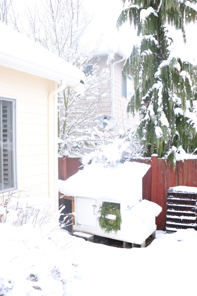 Winterizing Chicken Coops - Backyard Poultry