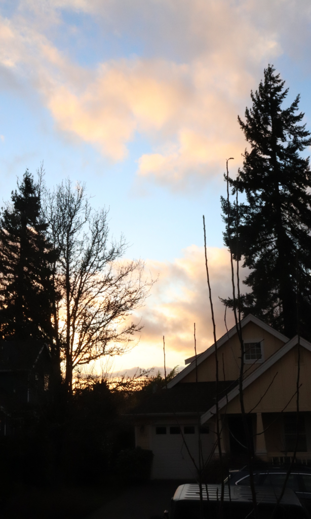 springtime in the pacific northwest sunset view pink sunset