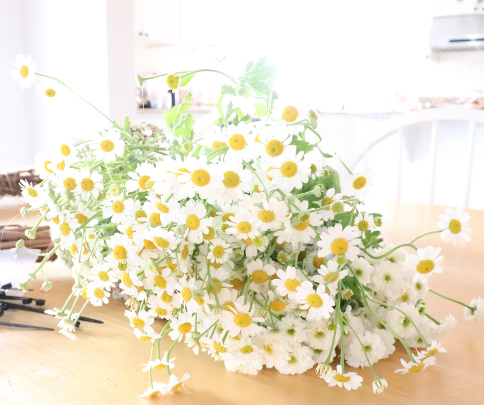 chamomile fresh flowers on a spring farmhouse wreath