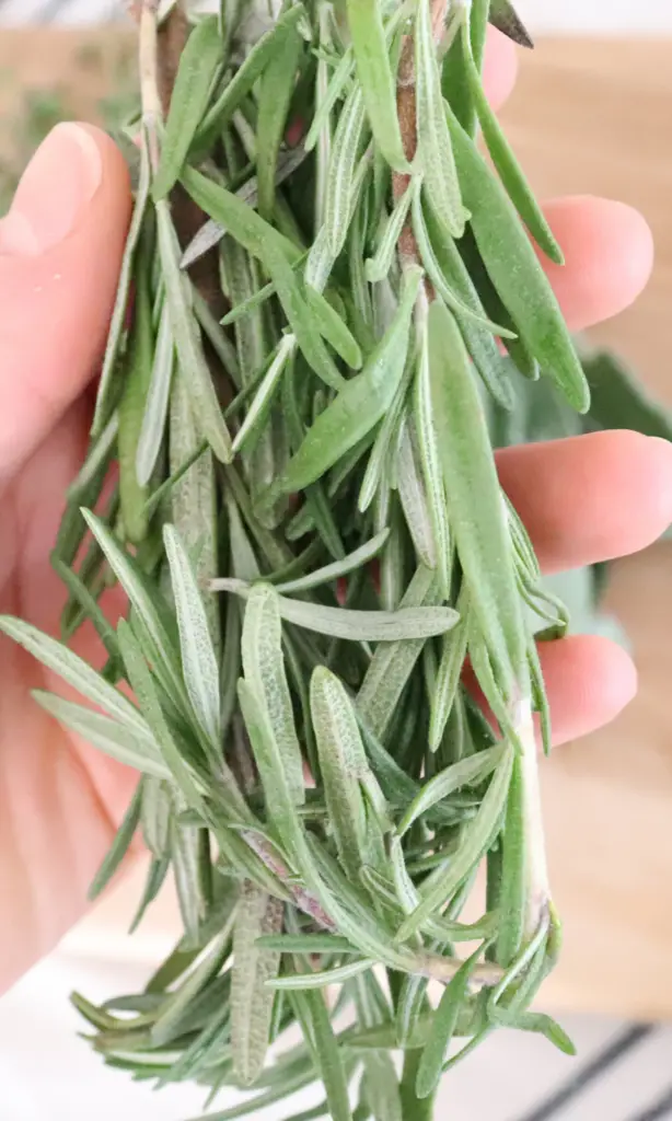 Homemade Dried Herbs Simple, natural DIY 

Homemade dried herbs is so easy! 

#driedherbs #herbs #farmhouse #kitchen #spring #diy #simple #cheap #howtodryherbs #withoutadehydrator #nodehydrator #homedecor