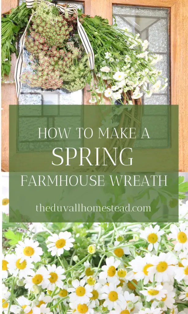 How to make a simple spring farmhouse wreath with fresh flowers. I love spring! Bringing in new flowers give your home a fresh scent and also just brings new life into the room. This wreath could go on your tabletop decor or the front door during spring time. Grab your favorite flowers, a wreath frame, and cable ties to make this simple spring wreath. 

#spring #farmhouse #flowers #wreath #howtomakeawreath #homemade #diy #diywreath #homemadewreath #fresh #beautiful #simple #cheap #easy #homestead
