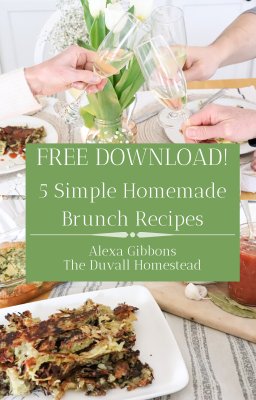 Brunch Menu for the whole family - healthy, organic, delicious. You will love the homemade juicy ketchup over crispy stovetop hash browns and the egg & veggie bake. On the side, serve up some homemade yogurt with oven-roasted granola. Your guests will keep coming back for more, that's for sure. 

#brunch #menu #healthy #family #food #organic #homemade #ketchup #yogurt #granola #eggs #hashbrowns #castiron #recipes #stovetop #oven #kitchen #food #foodie #delicious #simple #easy #breakfast #easter #holiday #menu