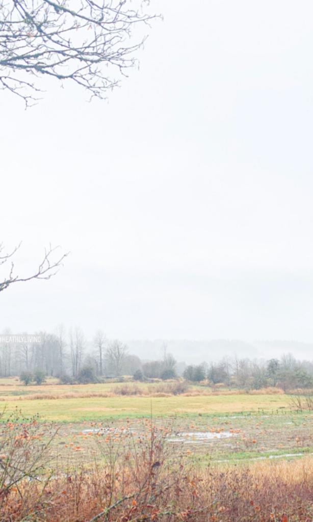 farming community local meat grass fed