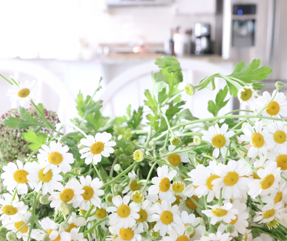 Fresh flowers chamomile beautiful farmhouse decor