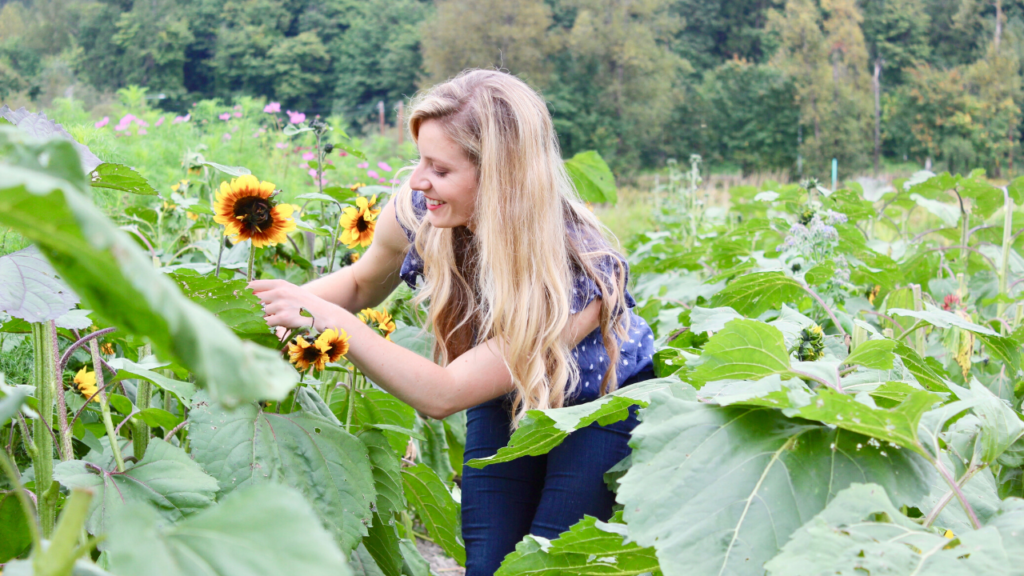 garden homesteading farmer farming sunflowers