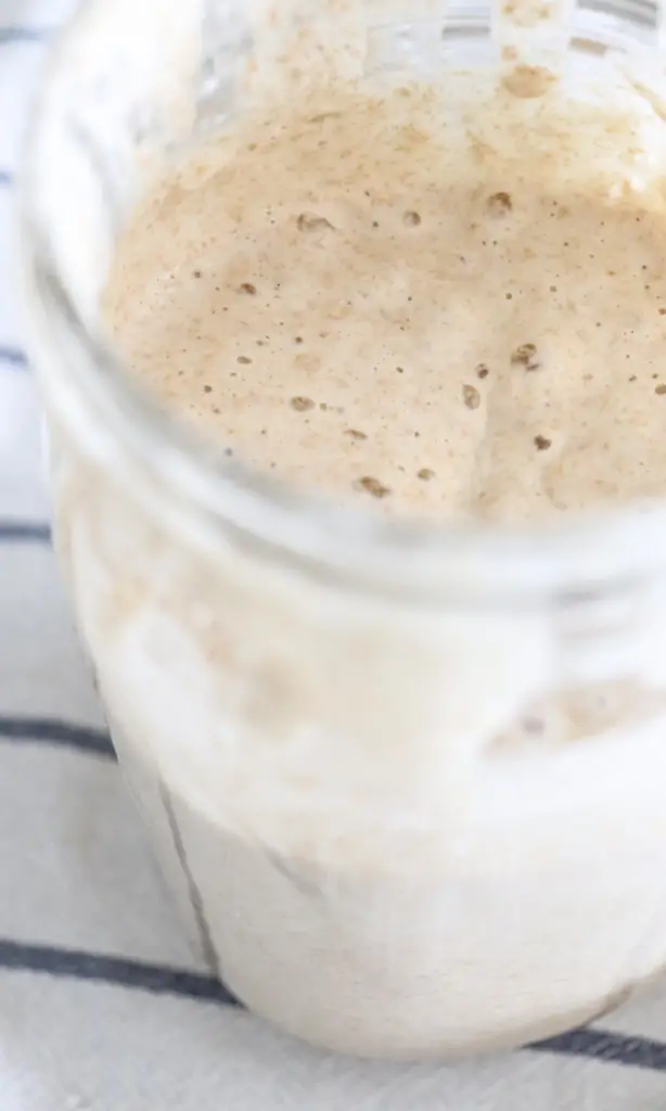 how to make simple sourdough starter with flour and water homemade simple gut-healthy recipes