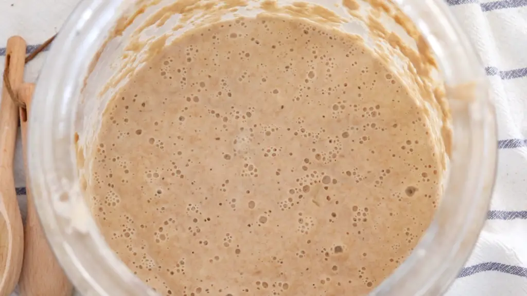 How to make sourdough starter food from scratch gut healthy fermented grain probiotics easy recipe how to make bread good cultures bubbly sourdough starter
