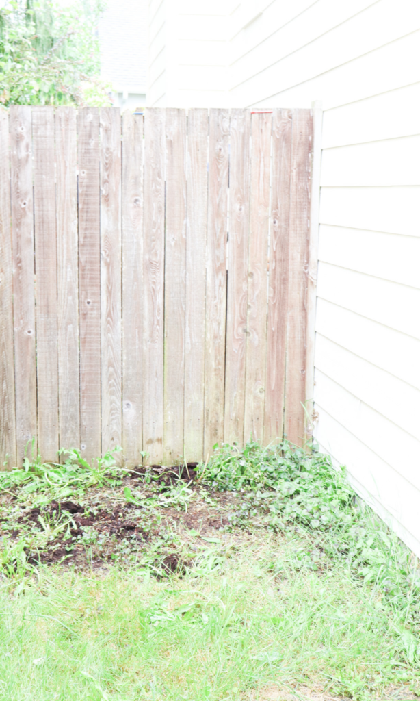 farmhouse side yard