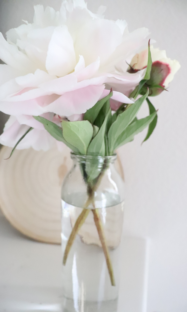 beautiful peonies in living room farmhouse home decor 