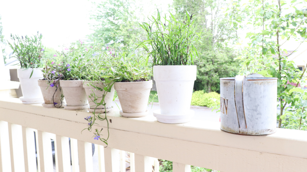 all the flower pots lined up on our farmhouse front porch