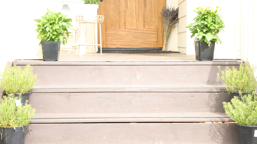 flowers lining the stairs