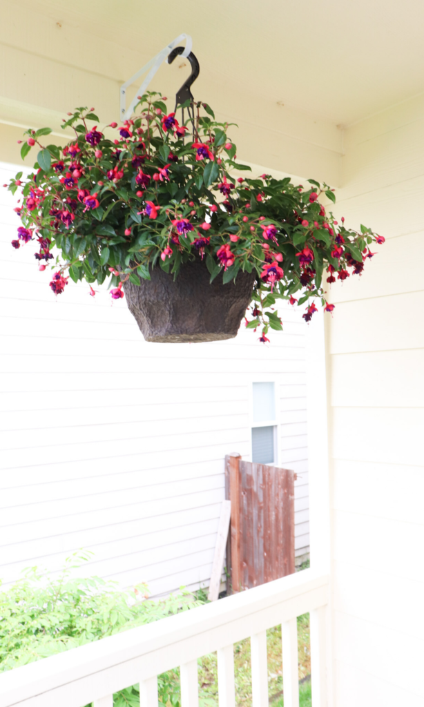 Fuchsia basket on the farmhouse porch