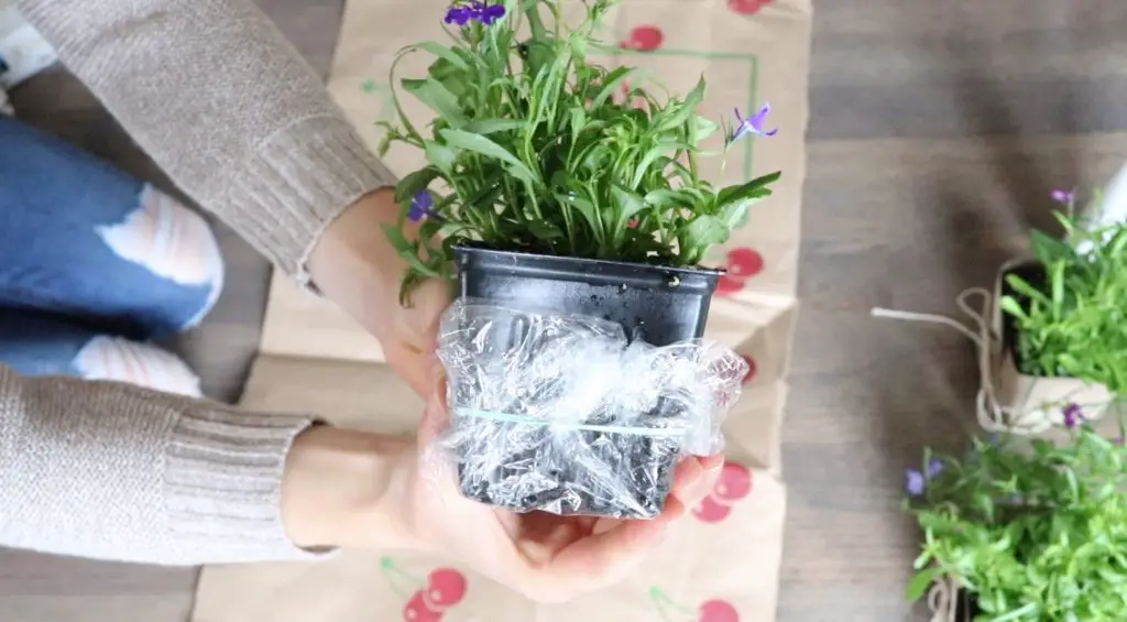 DIY flower pot idea
