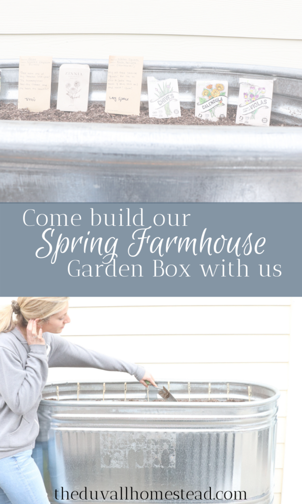 Come see how we made our galvanized horse trough into a planter box this spring at the farmhouse

#spring #planterbox #horsetrough #trough #galvanized #seeds #garden #homestead #farmhouse #plantingseeds #diy #DIYplanterbox #simpleplanterbox #cederwoodstand #gardening #simple #easy #basic #inspiration #gardeninspo #farmhouseinspo #farmhousegardenideas #diyfarmhouseplanterbox