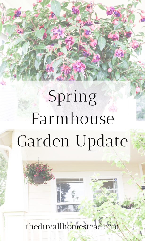 Spring has sprung in our farmhouse so come see series one in our farmhouse garden update!

#farmhouse #garden #spring #farmhousegarden #homesteadgarden #farmhousedecor #simple #flowers #springtime #springdecor #diy #gardenideas #ideas 