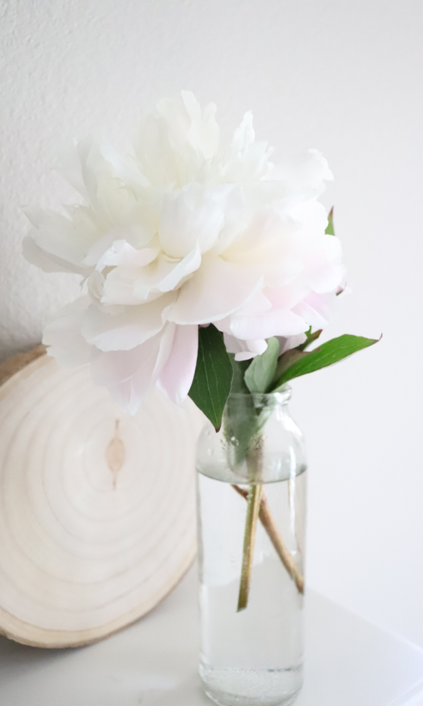 Fresh peonies from the garden