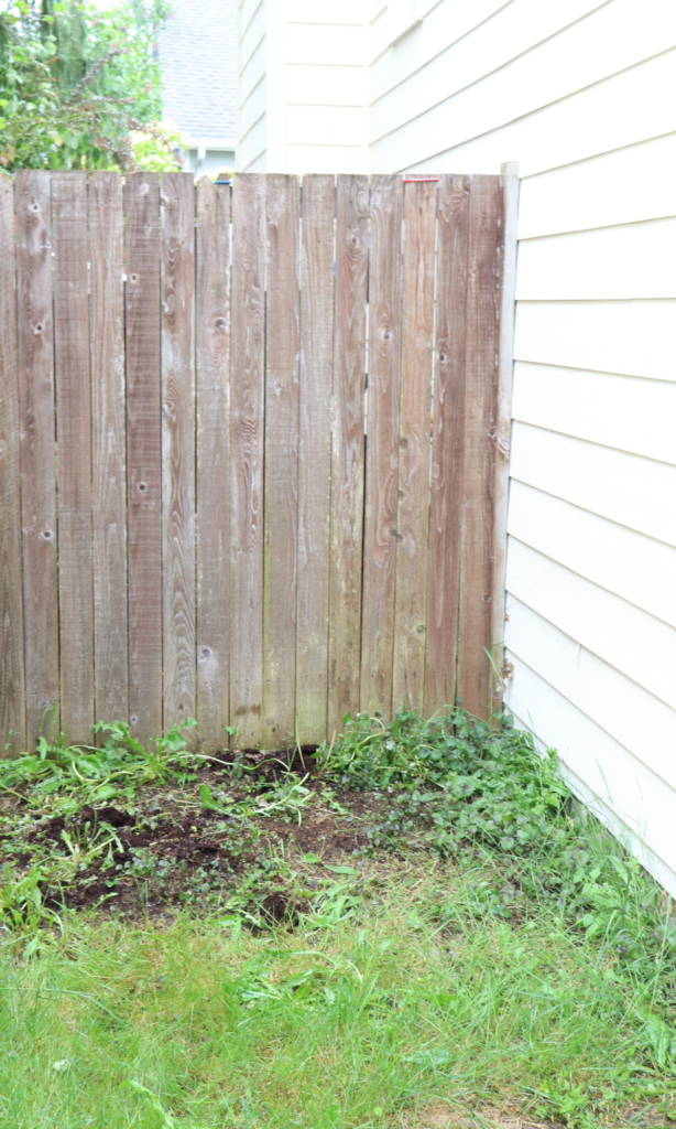 Come see the progress on our homestead garden restoration