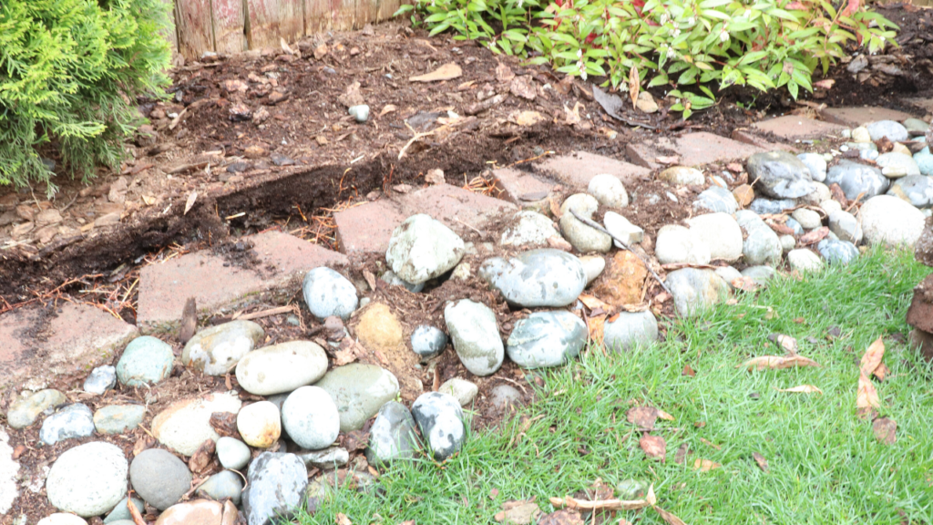 BEFORE: Retaining wall for chickens