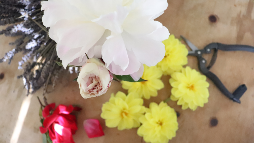 Pretty flowers from the garden