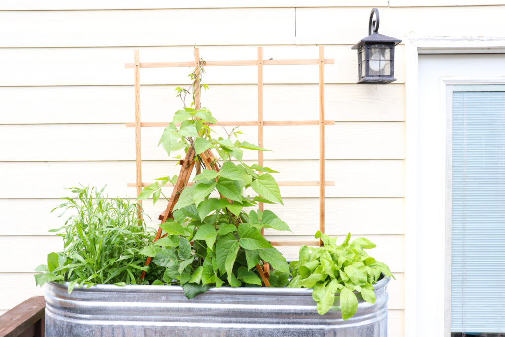 DIY Trough Planter Box