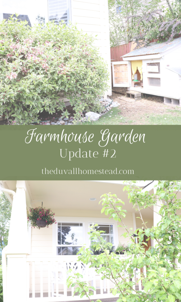 We love our farmhouse garden. Come along our journey as we transform our front, side, and backyard into our farmhouse garden. 

#farmhouse #garden #flowers #naturalweedkiller #weedprevention #peonies #farmhousedecor #frontporch #inspo #chickenkeeping #backyardchickens #retainingwall #gardening #easy #ideas #planterbox #weedkiller 