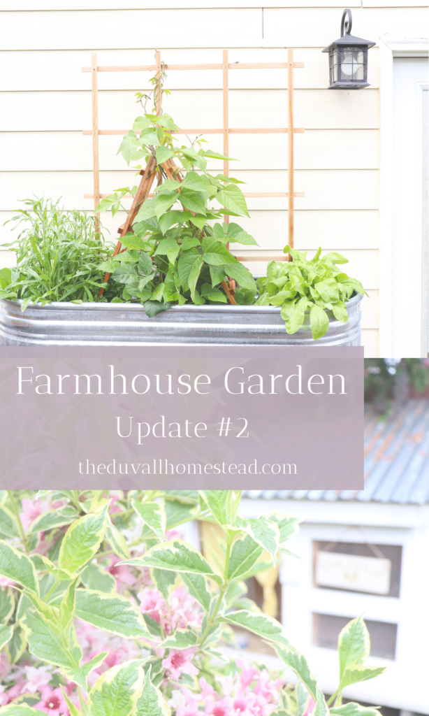We love our farmhouse garden. Come along our journey as we transform our front, side, and backyard into our farmhouse garden. 

#farmhouse #garden #flowers #naturalweedkiller #weedprevention #peonies #farmhousedecor #frontporch #inspo #chickenkeeping #backyardchickens #retainingwall #gardening #easy #ideas #planterbox #weedkiller 