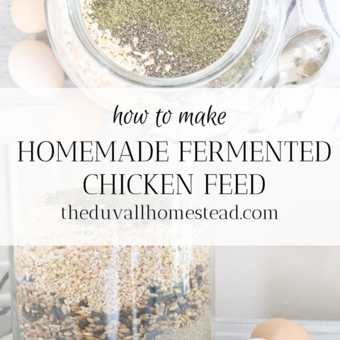 How To Ferment Chicken Feed - The Duvall Homestead