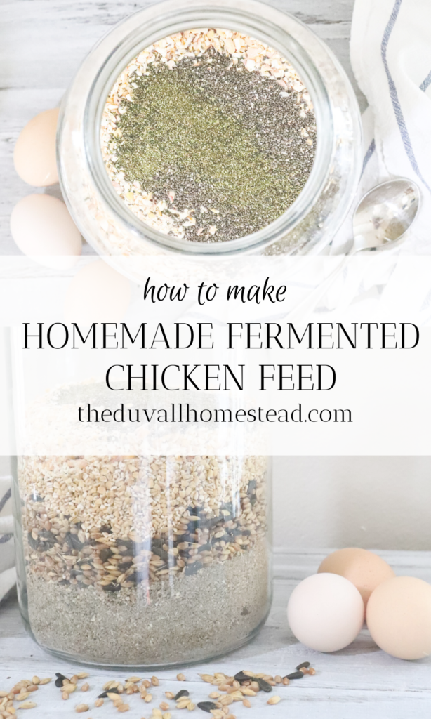 Learn how to make an easy, gut-healthy and delicious fermented chicken feed for rich dark yellow eggs. Saves you money, wastes less, and extra-healthy for your beloved backyard ladies!

#backyardchickens #fermented #chickenfeed #fermentedchickenfeed #howtomakechickenfeed #homemade #chickens #feed #scratch #grain #whattofeedchickens #chickenfeedrecipe #healthychickentreats #organic #guthealthy #recipe #chickenkeeping #homesteading #poultry #richeggs