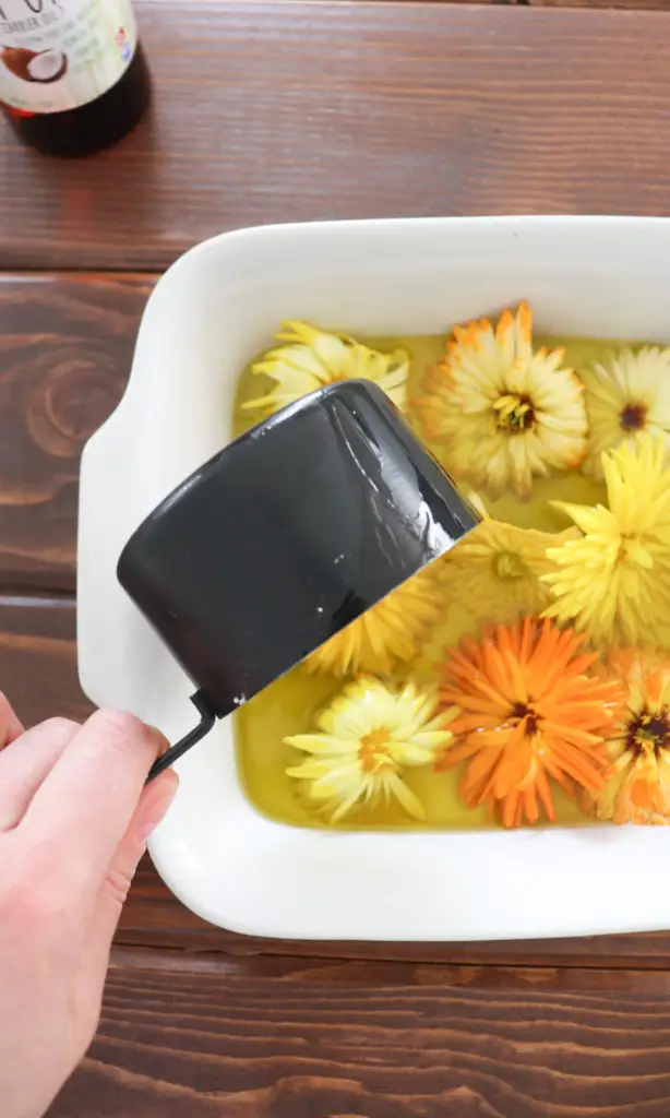 Learn how to grow calendula and use it to make a healing oil for your skin and body. 