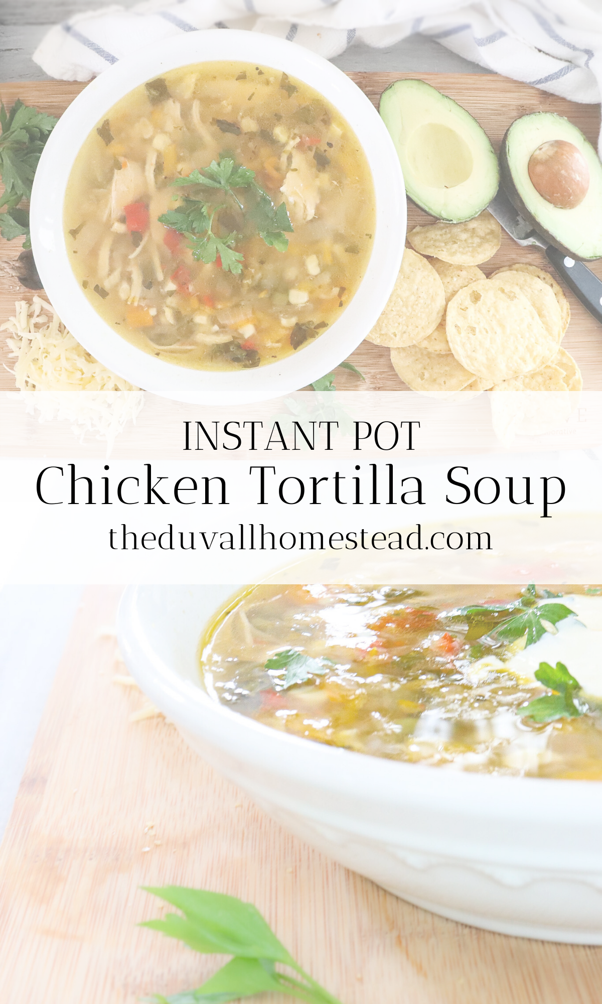 How to Make Tasty Chicken Tortilla Soup - The Duvall Homestead