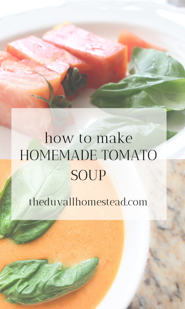 Simple healthy and delicious tomato soup with basil. Made with bone broth and cream, this soup hits the spot for lunch and dinner all year long. 

#tomatosoup #basil #creamy #simply #healthy #bonebroth #tomato #soup #lunch #dinner #recipes #food #foodshare #recipeshare #foodie #homemade #fromscratch #basil #dutchoven 