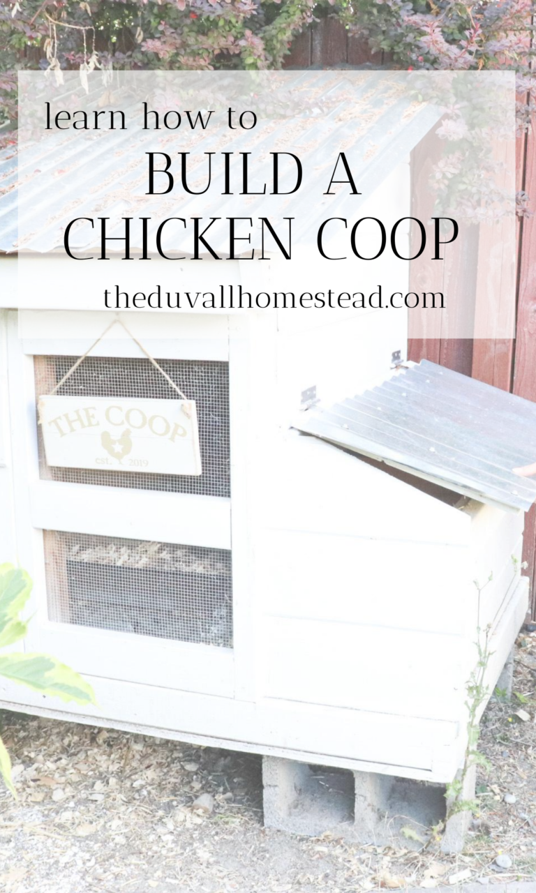 DIY Simple Beautiful Chicken Coop - The Duvall Homestead