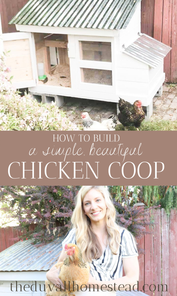 How to build a simple beautiful chicken coop. 

#chickencoop #simple #beautiful #howto #DIY #howtobuildachickencoop #backyard #chickens #backyardchickens #chickenkeeping 