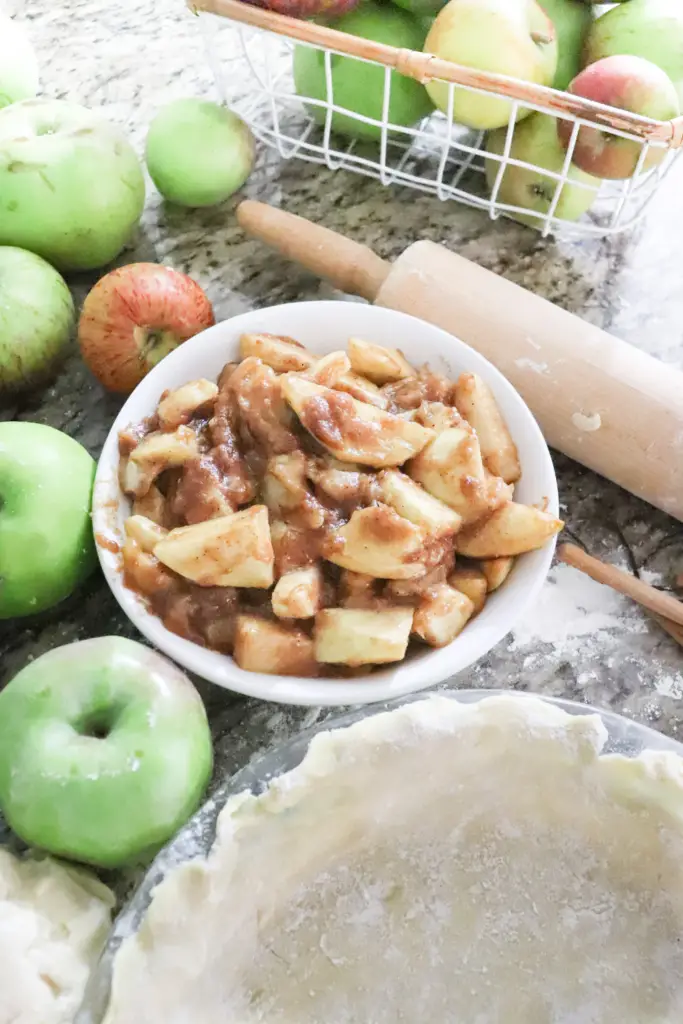 Learn how to make juicy flakey homemade apple pie with sourdough pie crust. Create this warm cozy fall recipe that is naturally sweetened with wild honey. 

#fallrecipes #applepie #naturallysweetened #homemade #falldesserts #dessertideas #simpledesserts #pierecipes #piecrust #sourdoughpiecrust #healthydesserts #sourdough #healthyrecipes #fall #farmhouseapplepie #homemadeapplepie