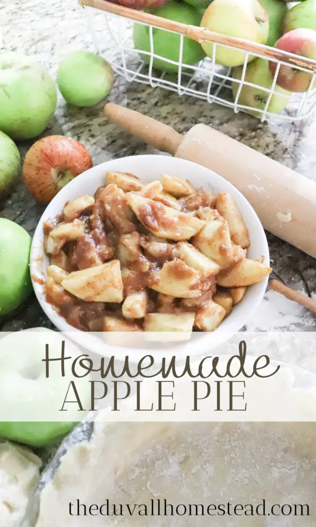 Learn how to make juicy flakey homemade apple pie with sourdough pie crust. Create this warm cozy fall recipe that is naturally sweetened with wild honey. 

#fallrecipes #applepie #naturallysweetened #homemade #falldesserts #dessertideas #simpledesserts #pierecipes #piecrust #sourdoughpiecrust #healthydesserts #sourdough #healthyrecipes #fall #farmhouseapplepie #homemadeapplepie