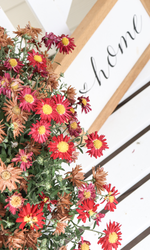 red mums on porch