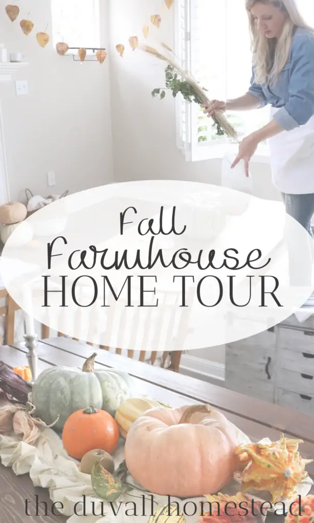 FALL FARMHOUSE HOME TOUR 2020

#fall #cozy #hometour #homestead #falldecor #fallfarmhouse #falldecorideas #farmhousefall #farmhousedecor