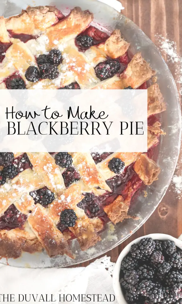 Learn how to make fresh blackberry pie! Top with homemade whipped cream for the perfect fall dessert. 

#fallrecipes #pie #blackberrypie #fresh #sourdough #piecrust #sourdoughpiecrust #howtomakeblackberrypie #bestblackberrypie #bestpiecrust #falldesserts #fall #recipes #foodie #healthy #delicious #fresh