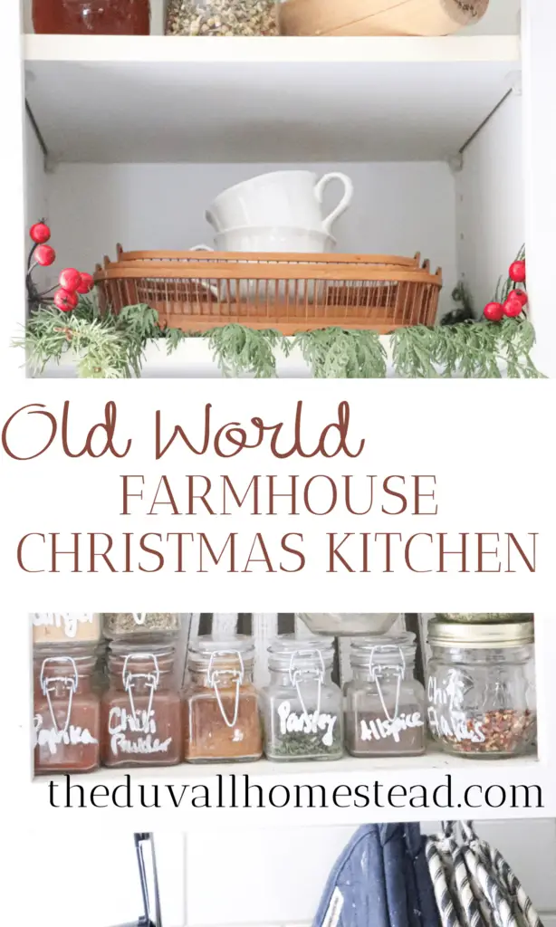 Join me for an old world farmhouse Christmas kitchen tour! I used simple antiques and homemade items to bring some holiday joy into our kitchen this season. 

#oldworld #farmhouse #christmas #kitchen #tour #farmhousedecor #farmhousechristmas #christmasdecor #farmhousedecorating #christmaskitchen #kitchendecor #openshelving #simple #minimal #antique #vintage