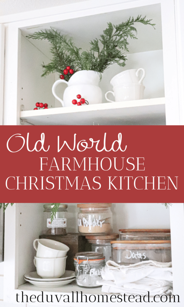 Join me for an old world farmhouse Christmas kitchen tour! I used simple antiques and homemade items to bring some holiday joy into our kitchen this season. 

#oldworld #farmhouse #christmas #kitchen #tour #farmhousedecor #farmhousechristmas #christmasdecor #farmhousedecorating #christmaskitchen #kitchendecor #openshelving #simple #minimal #antique #vintage