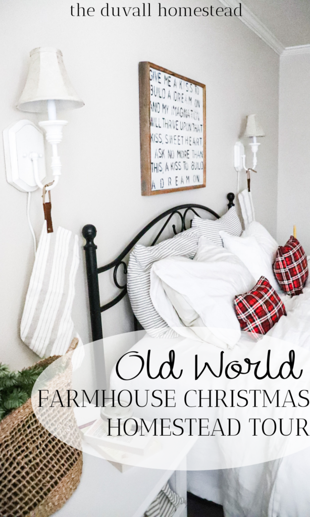 Join me for an old world farmhouse Christmas home tour with some handheld candles and hand sewn pillow cases. 

#oldworldfarmhouse #christmasdecor #farmhousechristmas #oldworlddecor #scandinavian #nordic #christmas #homedecor #vintage #antique #thrifted #farmhousedecor #christmasdecoratingideas #diy #tablescape