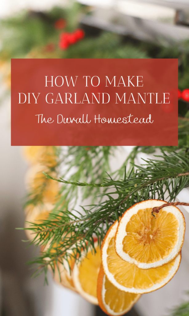 Learn how to make this easy DIY Christmas garland for your mantle or staircase this year. I love the smell of fresh greens and oranges, and creating my own home decor with my two hands. 

#diychristmasgarland #howtomakegarland #christmasdecor #farmhousedecor #farmhousechristmas #diychristmas #diy #farmhouse #christmas #decor #garland #mantle #fireplace #livingroom #homedecor #inspiration
