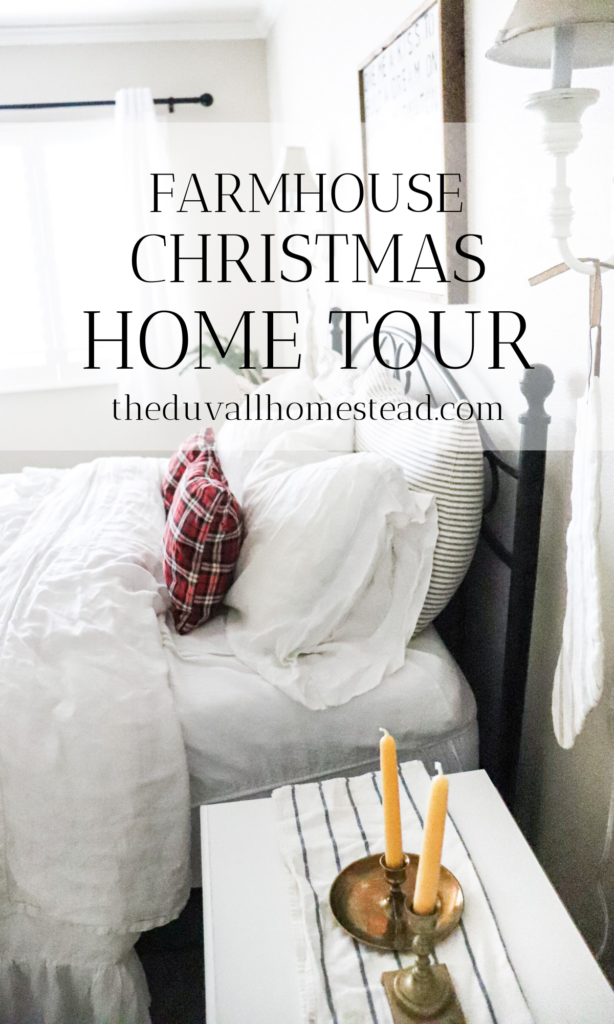 Join me for an old world farmhouse Christmas home tour with some handheld candles and hand sewn pillow cases. 

#oldworldfarmhouse #christmasdecor #farmhousechristmas #oldworlddecor #scandinavian #nordic #christmas #homedecor #vintage #antique #thrifted #farmhousedecor #christmasdecoratingideas #diy #tablescape