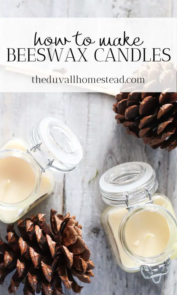 Learn how to make beeswax candles that are naturally scented with essential oils. These candles make a great homemade gift idea and will save you money too!

#homemadecandles #beeswaxcandles #howtomakecandles #beeswax #candles #candlemaking #farmhouse #homedecor #homemadegiftidea #giftideas #giftideasformom #giftideasforsister #giftideasforgirlfriend #essentialoils #candleswithessentialoils #naturallyscented #allnatural #pure