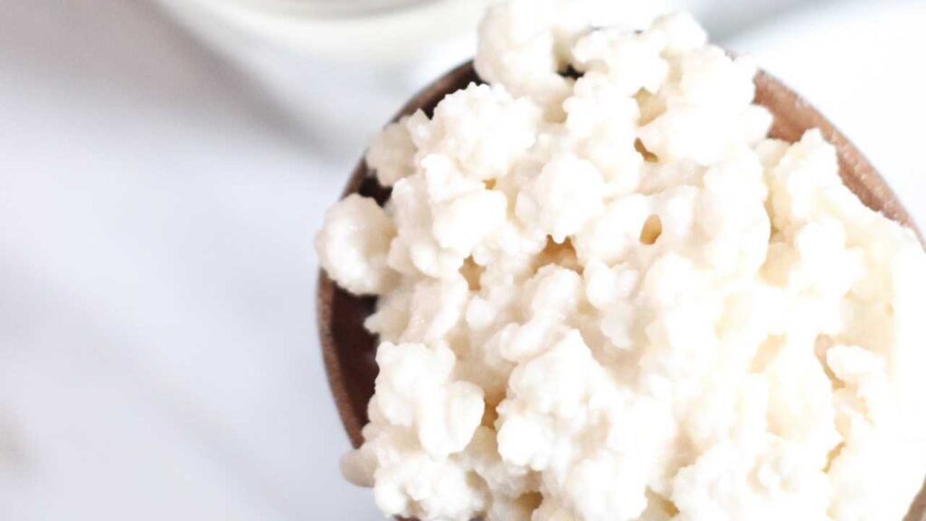 milk kefir grains on a wooden spoon