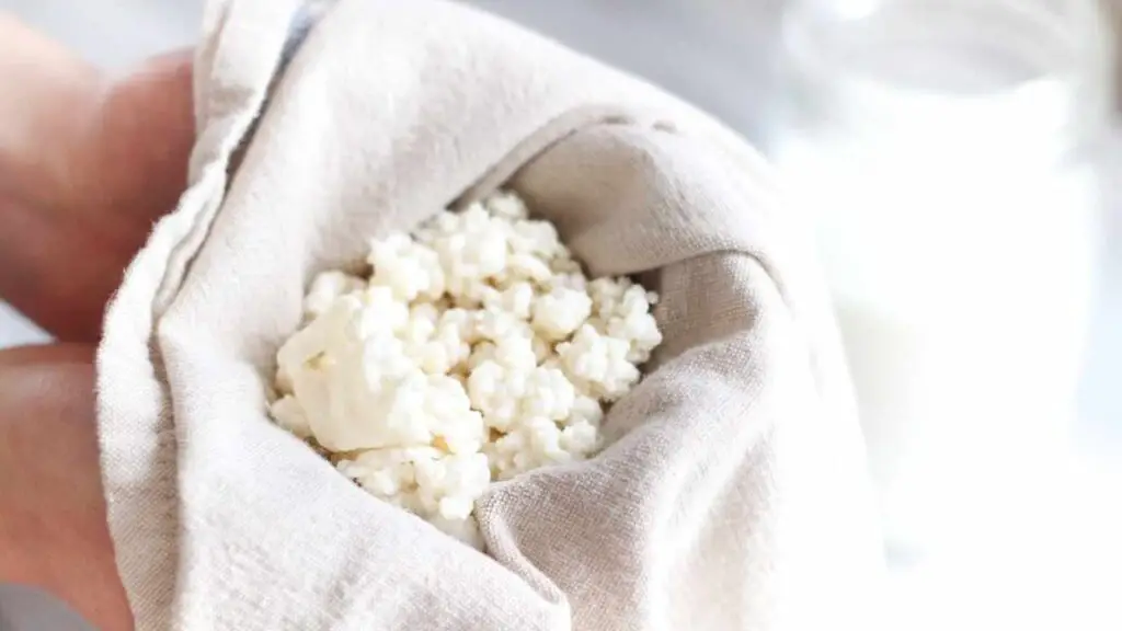 Learn how to make your own milk kefir in this easy tutorial. You can use kefir grains to make kefir smoothies every day for a gut-healthy and probiotic rich breakfast or snack. 